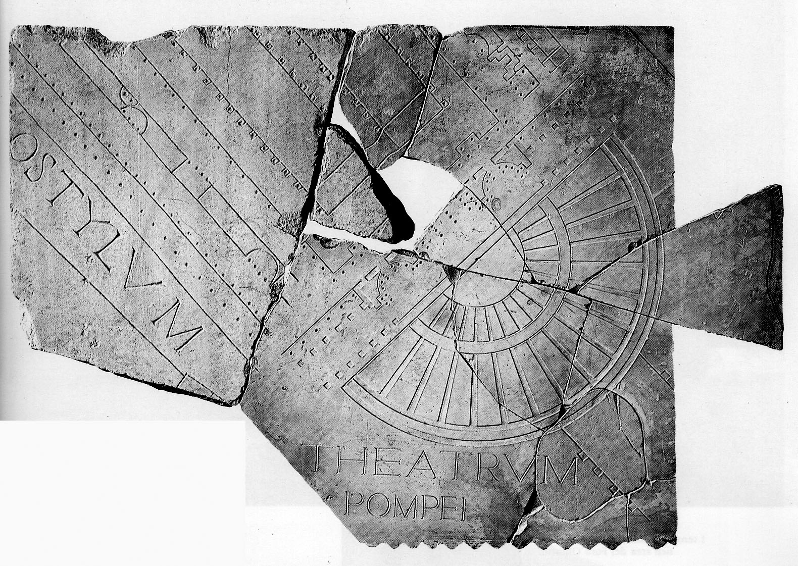 Teatro di Pompeo nella Forma Urbis Romae